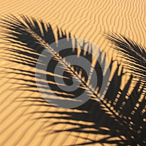 Sand create a textured surface, with the shadow adding contrast