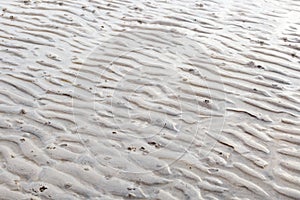 Sand curve texture on the beach