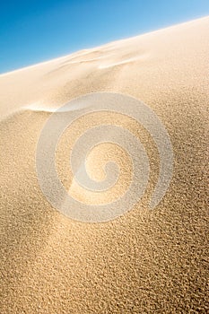 Sand Desert