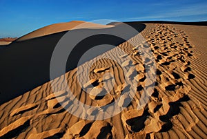 Sand desert