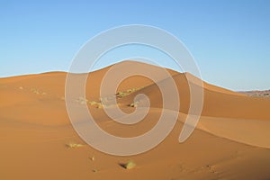 Sand desert dune