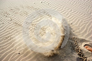 Sand on a desert dune at the beach no people