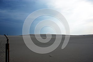 Sand on a desert dune at the beach no people