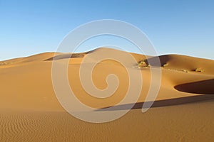 Sand desert dune in Sahara