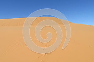 Sand desert dune in Sahara