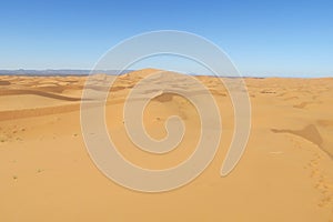 Sand desert dune in Sahara