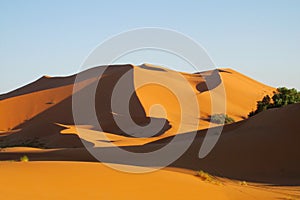 Sand desert dunes panorama at sunset