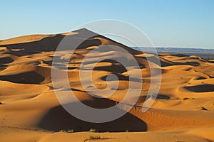 Sand desert dunes Sahara