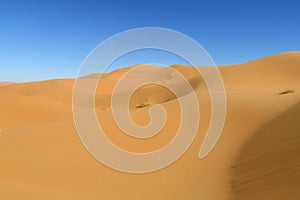 Sand desert dunes Sahara