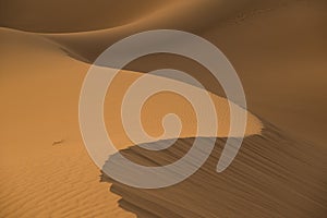 Sand desert pattern. It can be contemplated for a long time