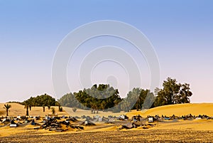 Sand desert sets in, desert cemetery, sahara, morocco