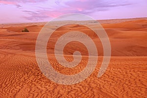 Sand desert sunset view, Dubai, United Arab Emirates