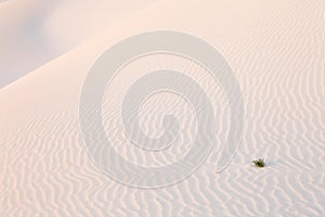 Sand desert surface