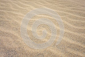 Sand detail on Ponta preta beach in Santa Maria, Sal Island, Cape Verde