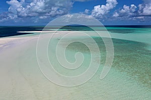 Sand dollar bar in the Bahamas