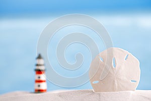 Sand dollar shell on sea and lighthouse background