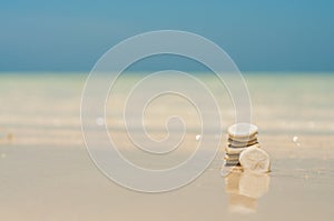 Sand Dollar stack