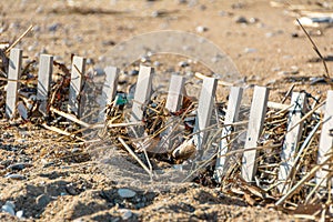 Sand Drifted over Beach Fence