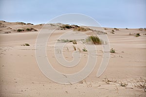 Sand dunas photo