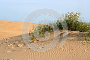 Sand Dune