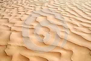 Sand dune photo