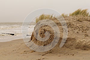 A sand dune along the sea in holland in winter