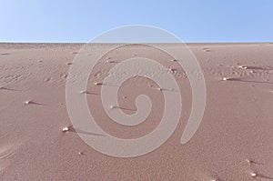 Sand Dune in Atacama Desert, Chile