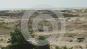 sand dune on Baltic sea Courland lagoon couronian bay sandy dunes with grass