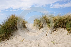 Sand dune at baltic seaside