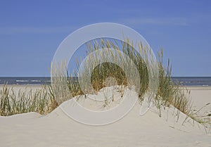 Sand dune at Baltrum