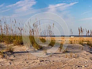 Sand dune and beach at Anastasia State Park in St Augustine Florida in the golden hour light with a bright blue and cloudy sky.