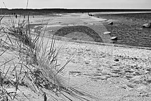 Sand Dune at the Beach