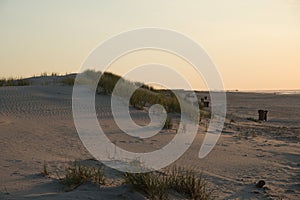 Sand dune with beach grass at dawn