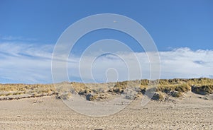 Sand dune with beach grass