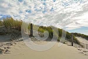 Sand dune with beach grass and a wooden fence