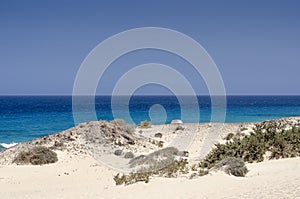 Sand dune and beach in the Natural-park, Corralejo , Fuerteventura, Canary Islands, Spain