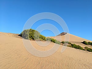 Sand dune with bit of green vegetation