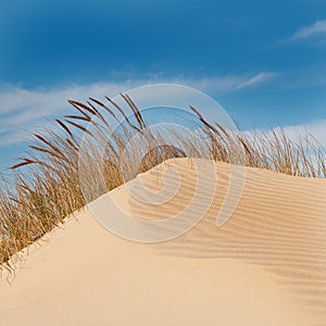 Sand Dune and Blue Sky