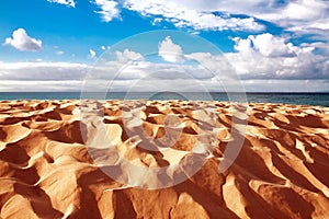 Sand dune of Bolonia beach, province Cadiz, Andalucia, Spine photo