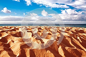 Sand dune of Bolonia beach, province Cadiz, Andalucia, Spine