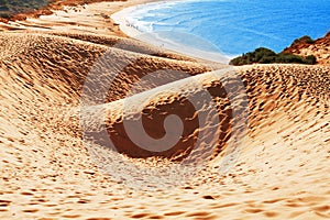 Sand dune of Bolonia beach, province Cadiz, Andalucia, Spine photo