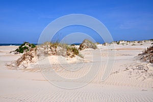 Sand Dune in Cape Hatteras, North Carolina