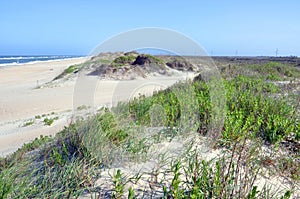 Sand Dune in Cape Hatteras, North Carolina