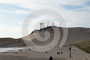 Sand Dune at Cape Kiwanda