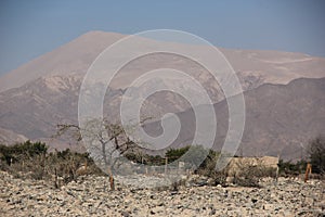 The sand dune of Cerro Blanco photo