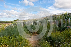 Sand dune conservation measures on a beach in Lahinch in the West of Ireland