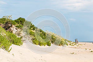 Sand Dune Covered in Beach Grass at Nags Head