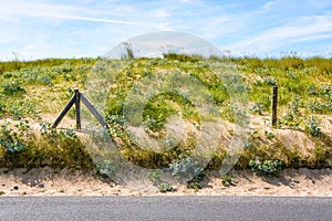 A sand dune covered with wild grasses, protected by a wire fence along the seaside road