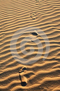 Sand dune of cumbuco