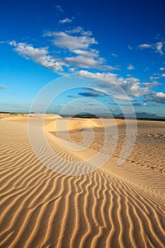 Sand dune of cumbuco